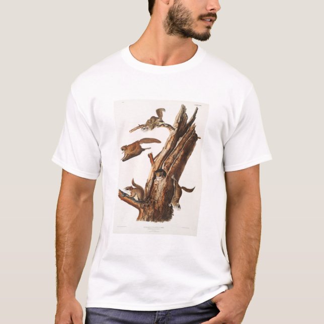 T-shirt Vol Écureuil Camping Gear Deco Cadeaux (Devant)