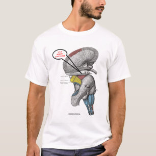 T-shirt Votre mémoire commence ici (l'humour de