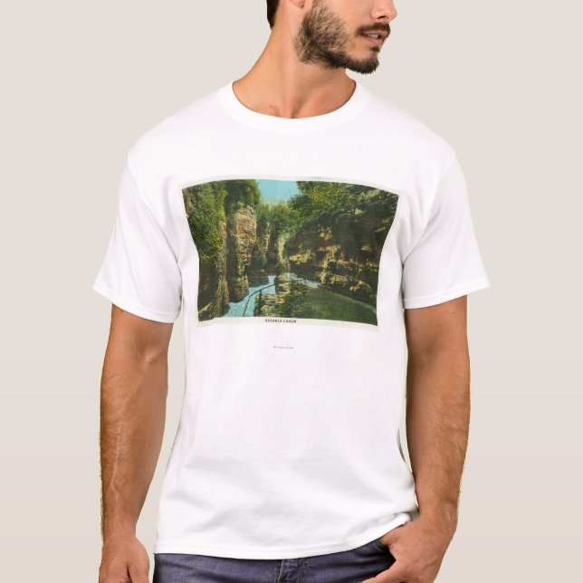 T-shirt Vue d'abîme d'Ausable (Devant)