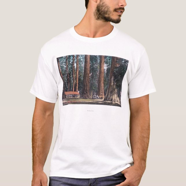 T-shirt Vue de grands arbres dans le verger de Mariposa (Devant)