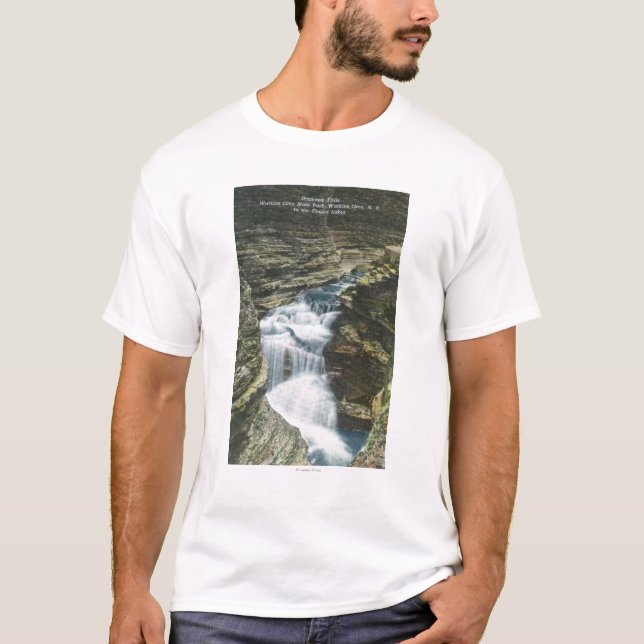 T-shirt Vue de parc d'état des automnes de diamant (Devant)