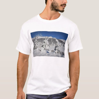 T-shirt Vue de station de sports d'hiver de Catedral dans