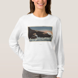 T-shirt Vue de tête d'alligator, La Jolla