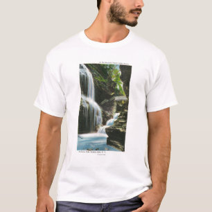 T-shirt Vue des automnes d'arc-en-ciel