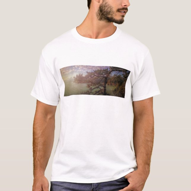 T-shirt Vue du laissez-passer trompeur (Devant)