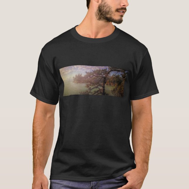 T-shirt Vue du laissez-passer trompeur (Devant)