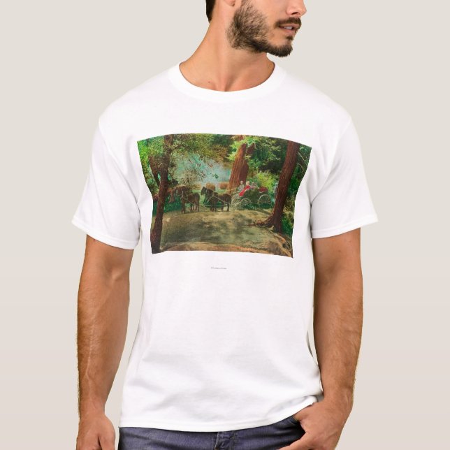 T-shirt Vue d'un car d'étape parmi de grands arbres (Devant)