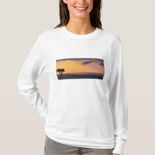 T-shirt Vue panoramique d'un seul acacia