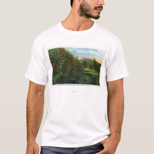 T-shirt Vue pittoresque de lac shadow et de tête indienne