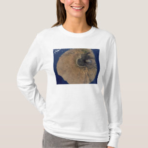 T-shirt Vue satellite de bâti Fogo