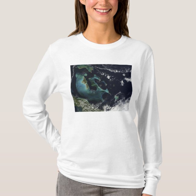 T-shirt Vue satellite sur les îles Bahama (Devant)