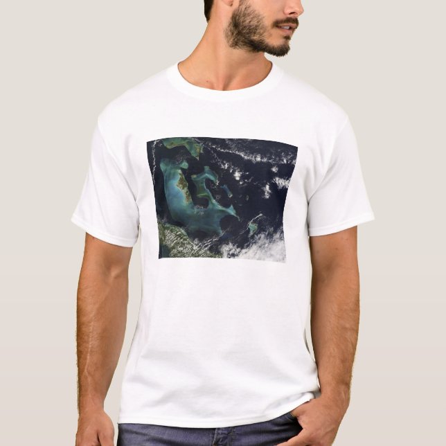T-shirt Vue satellite sur les îles Bahama (Devant)