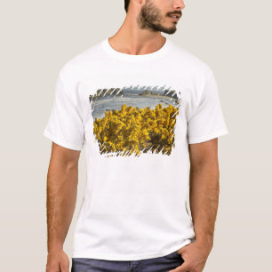 T-shirt Vue sur le littoral, Bandon, Oregon