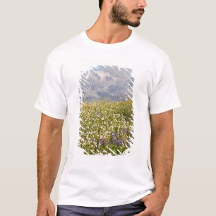 T-shirt WA, Mt Baker Wilderness, Mt. Shuksan et