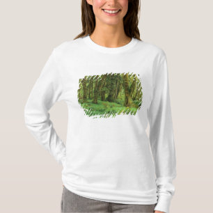 T-shirt WA, Pôle olympique, forêt de Quinault, mousse