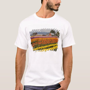 T-shirt WA, Skagit Valley, champs de tulipe en floraison, 