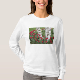T-shirt WA, Skagit Valley, Roozengaarde Tulip Garden