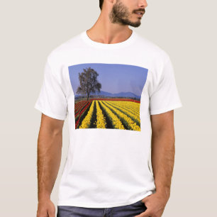 T-shirt WA, vallée de Skagit, Skagit Valley Tulip 2
