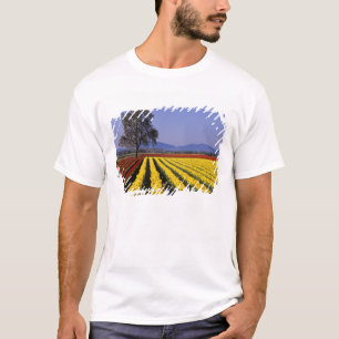 T-shirt WA, vallée de Skagit, Skagit Valley Tulip 2