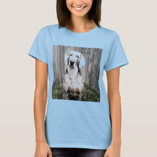 T-shirt Weimaraner