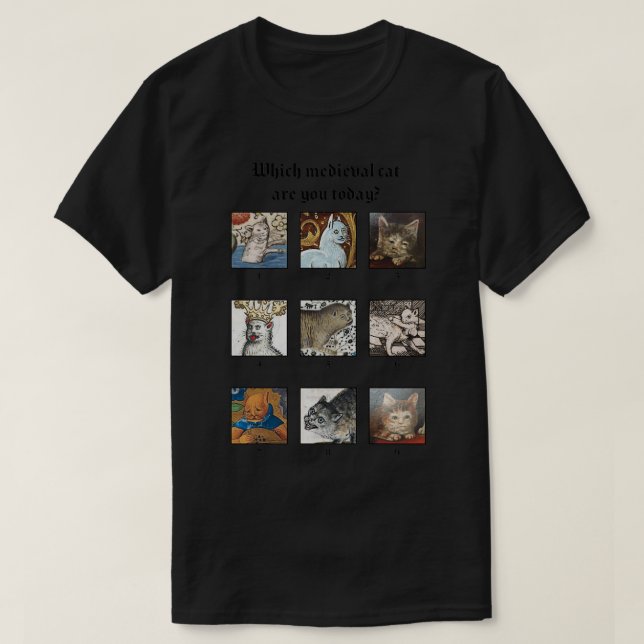T-shirt Which medieval cat are you today  (Design devant)