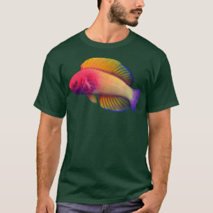 T-shirt Wrasse de fées à voile rose