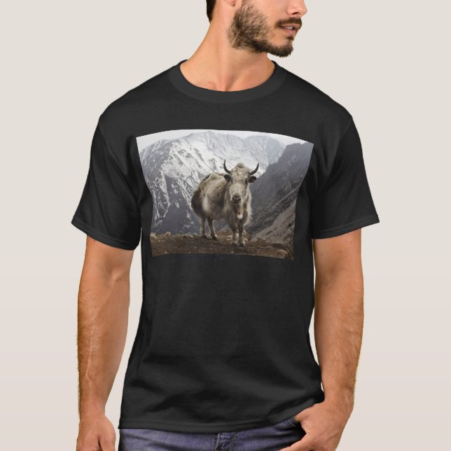 T-shirt Yaks au Népal (Devant)