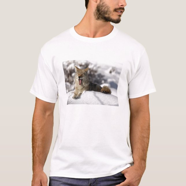 T-shirt Yawn Neige Coyote (Devant)