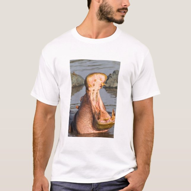 T-shirt Yawning hippo, Tanzanie (Devant)