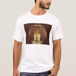 T-shirt Yeux principaux et composés d'une mouche de vol