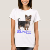 Yorkshire Terrier Dog Yorkies gouvernent les femme