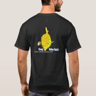 T-shirt Young Yellow Boxfish