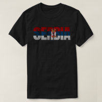 Zastava Srbije / Drapeau serbe