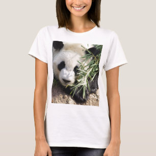 T-shirt Zoo Atlanta d'ours panda @