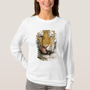 T-shirt Zoo de Tiger Michigan