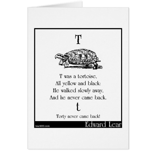 T war eine Schildkröte (Vorne)