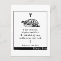 T war eine Schildkröte