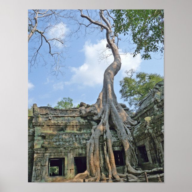 Ta Prohm Poster (Vorne)