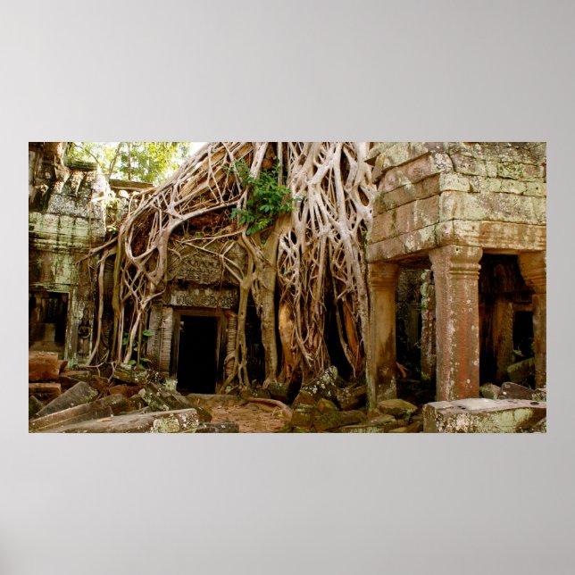 Ta Prohm Poster (Vorne)