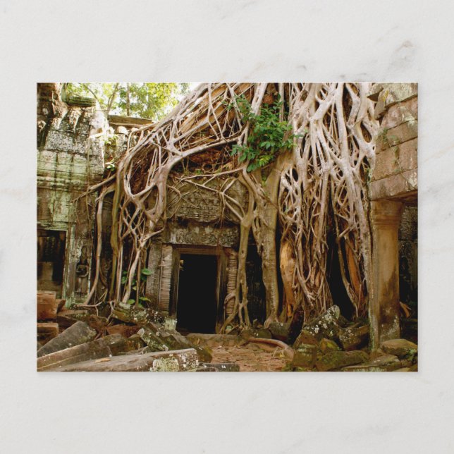Ta Prohm Postkarte (Vorderseite)