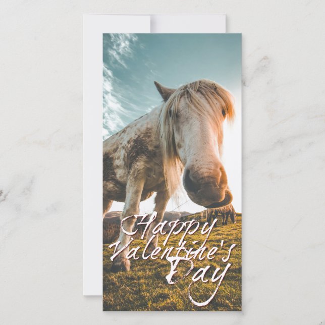 TA Valentinstag mit dampfendem Pferd (Vorderseite)