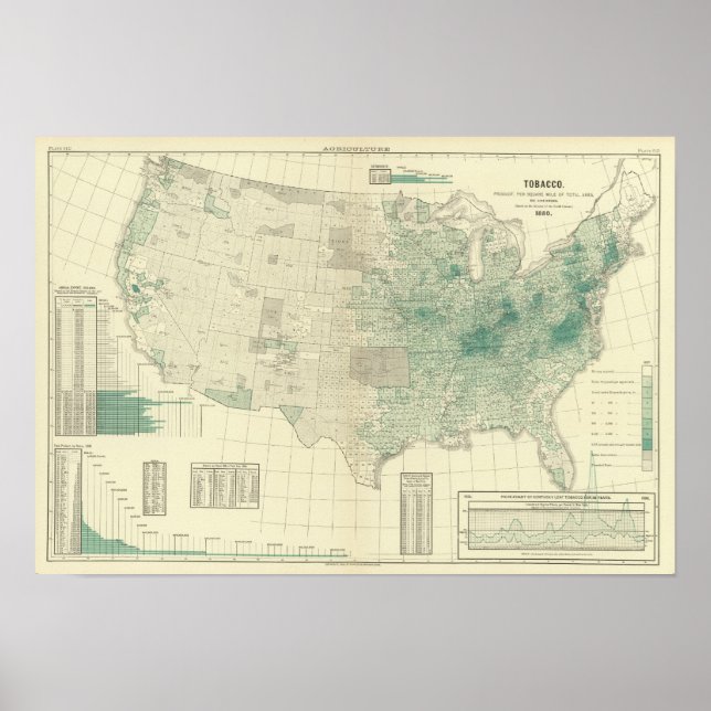 Tabak Poster (Vorne)