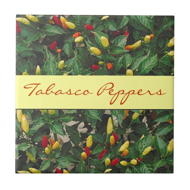 Tabasco-Paprikaschoten-heißer Chili-rote gelbe Fliese (Vorderseite)