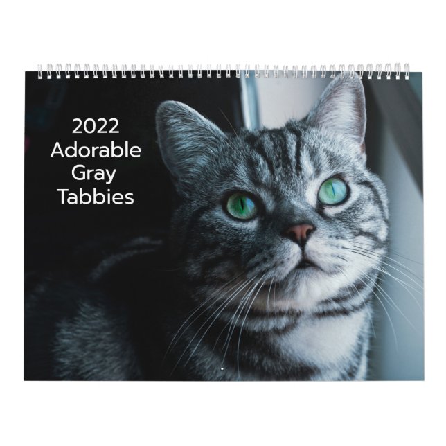 Tabbis gris adorable Calendrier 2022 (Protection)