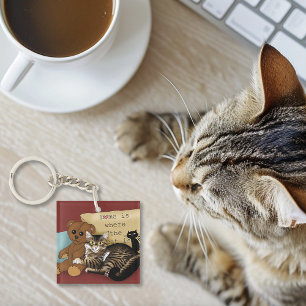 Tabby Accueil Chat Bourgogne