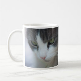 Tabby-and-White Cat Staring Kaffeetasse