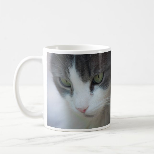 Tabby-and-White Cat Staring Kaffeetasse (Links)