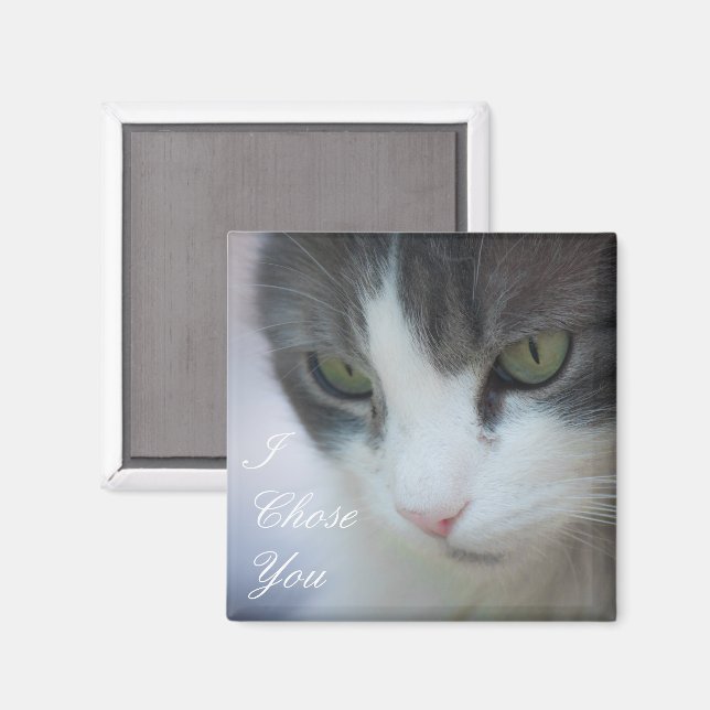 Tabby-and-White Cat Staring Magnet (Vorderseite/Rückseite)