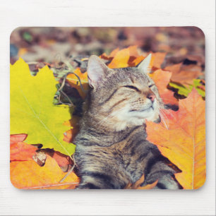 Tabby Basking in den Foliage Mousepad