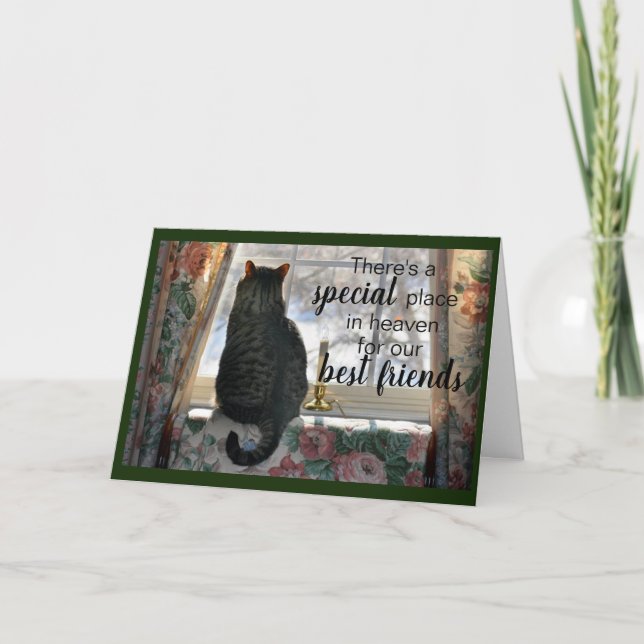 Tabby Cat at Window Sympathy Card Karte (Vorderseite)